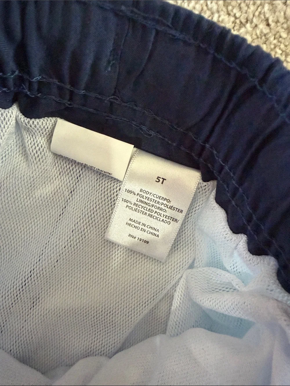 NWT Boys Bluey Swim Trunks with lining size 5T